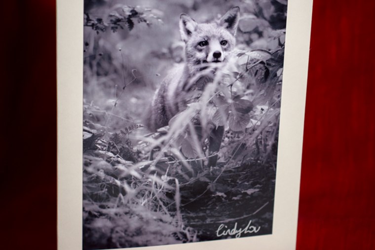 Generic and Blank Greeting Cards