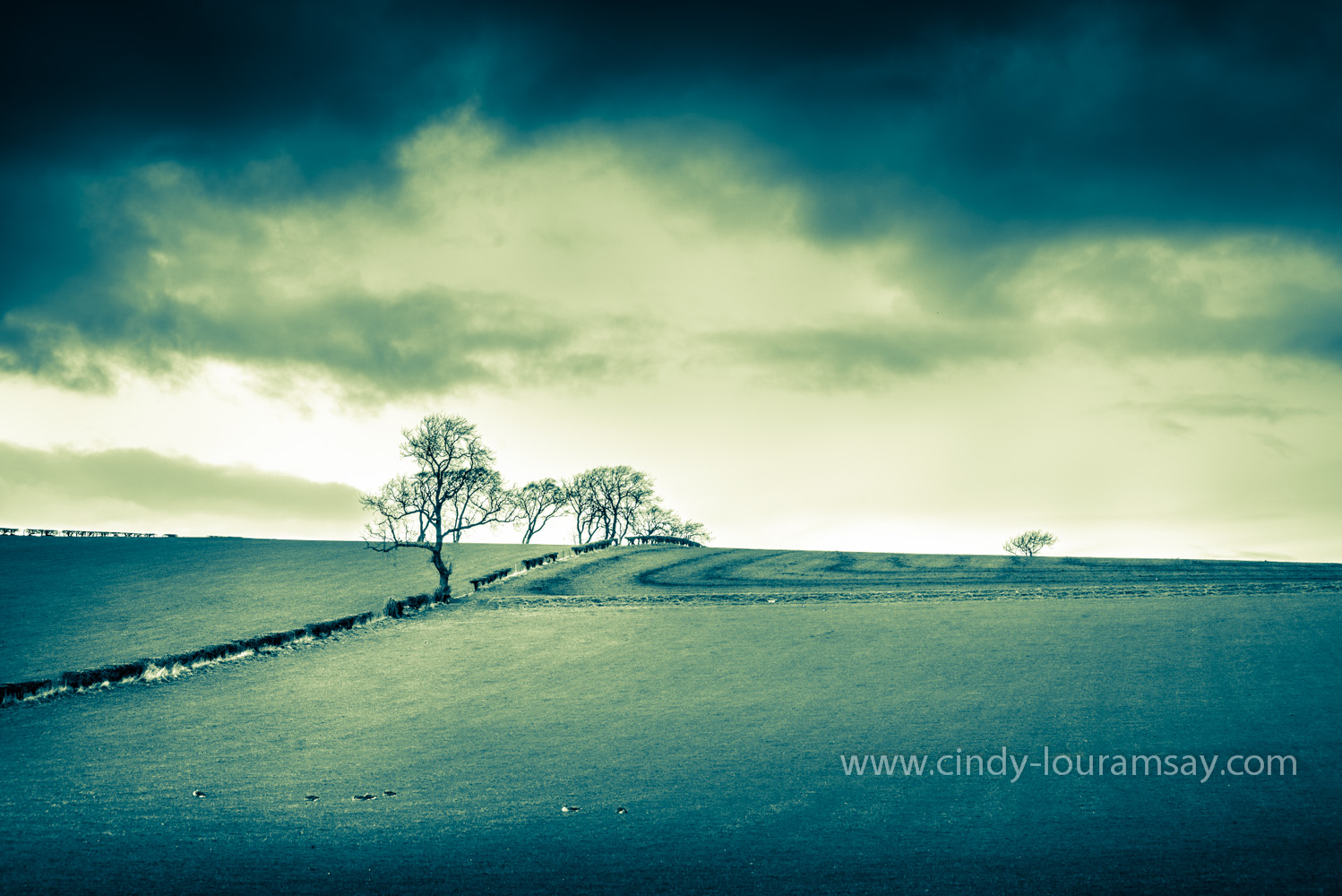 "Gone With the Wind" 